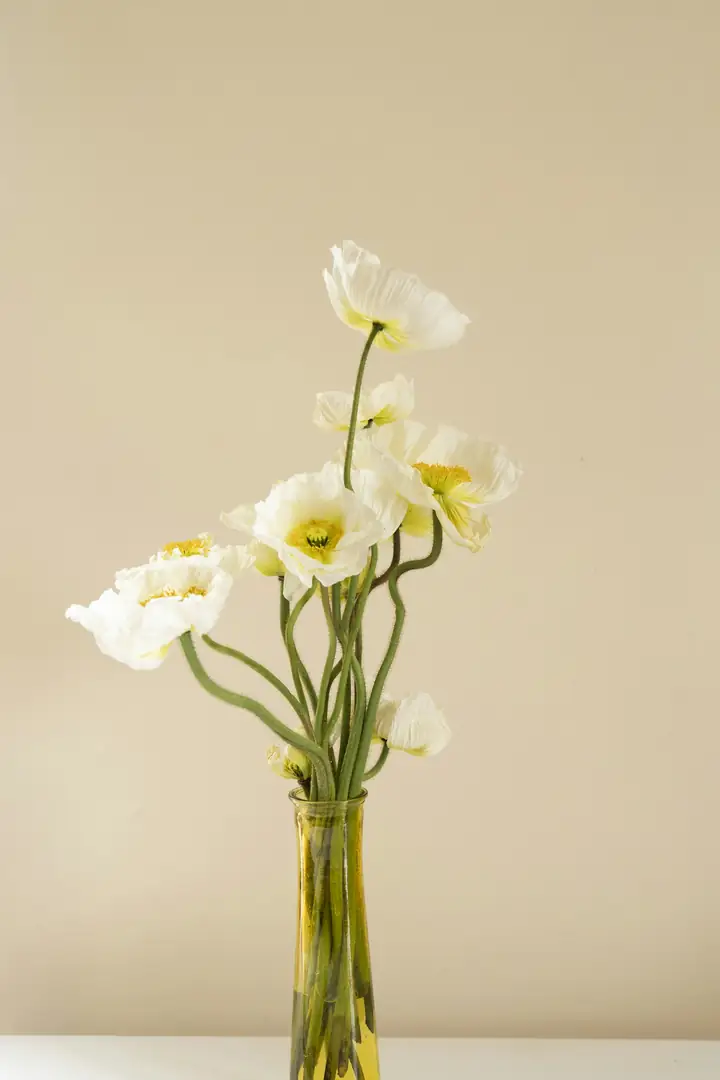 Best Florists in Singapore
