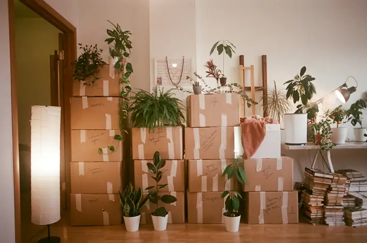 Best Movers in Singapore